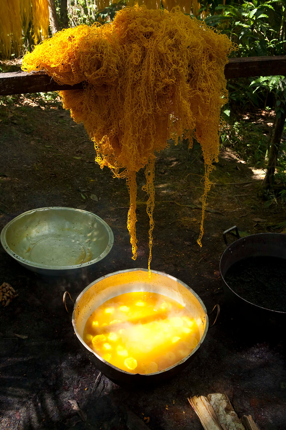 CURCUMA_galeria 28_MG_6053.jpg